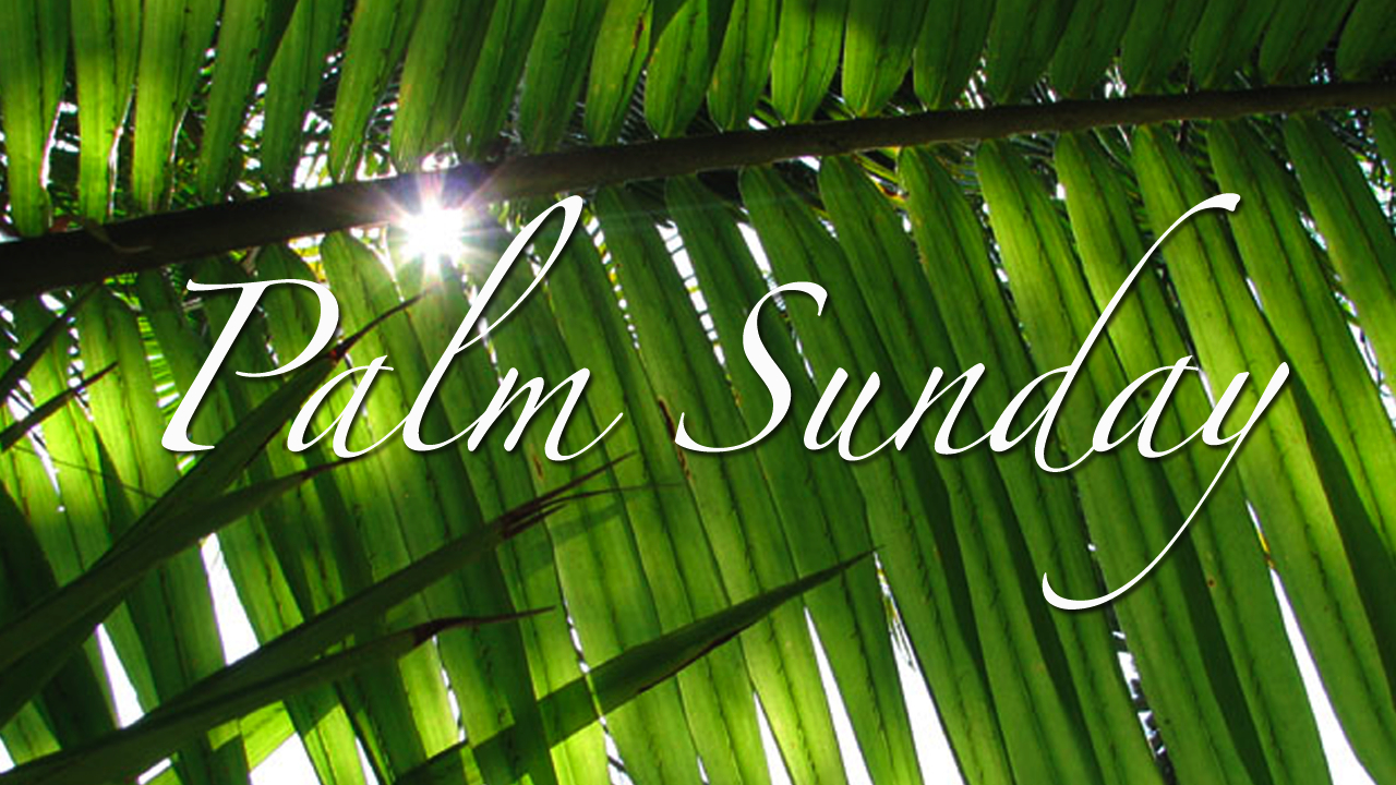 what-is-palm-sunday-mo-isom