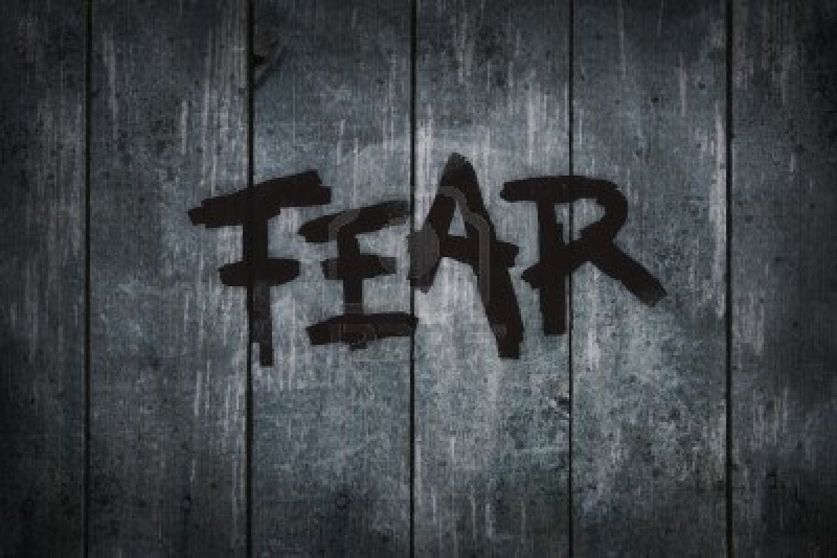 Other Term Of No Fear